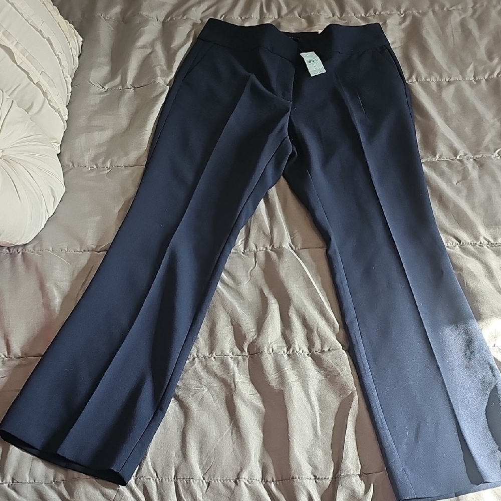 Ann Taylor Navy Blue Curvy Trousers